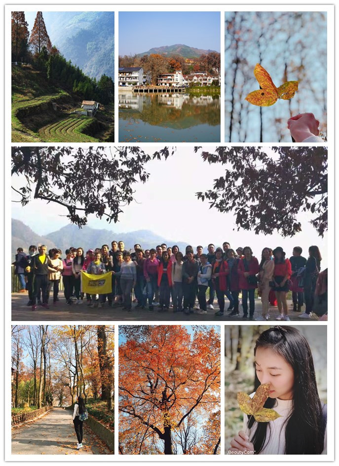 6686体育电子交易市场组织“指南村赏秋”活动